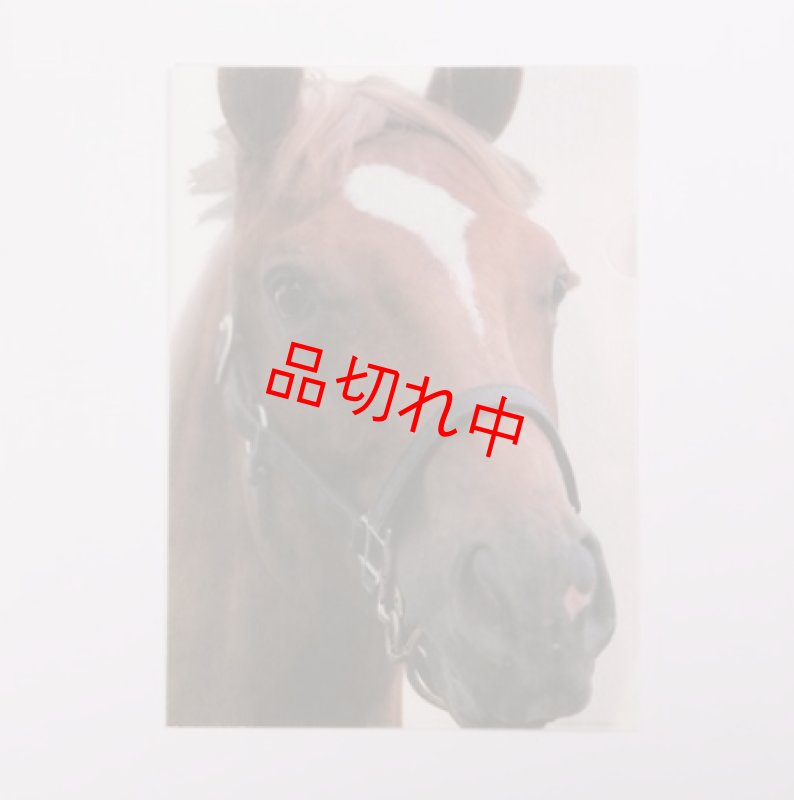 画像1: リアルクリアファイル C (1)