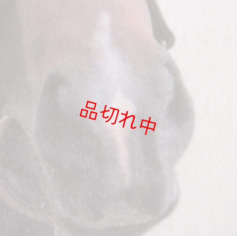 画像4: リアルクリアファイル B (4)