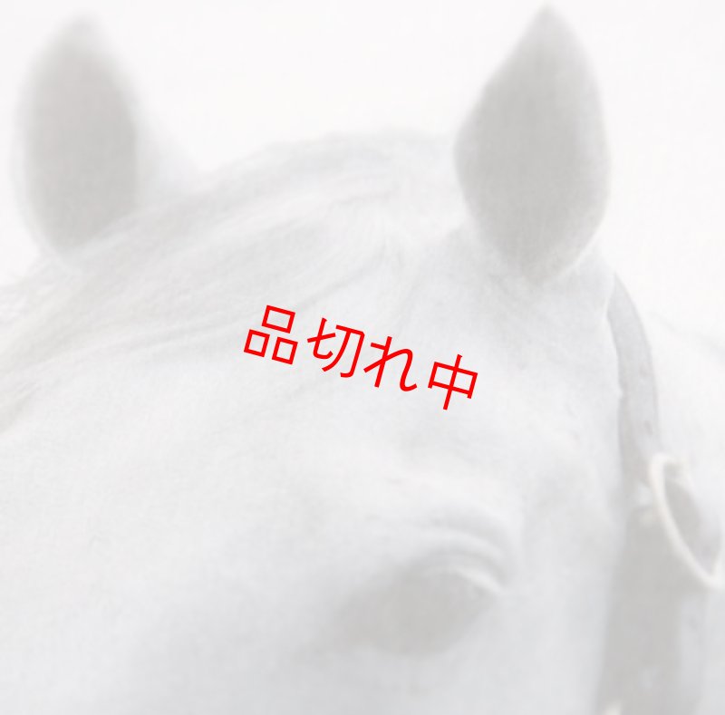 画像4: リアルクリアファイル A (4)