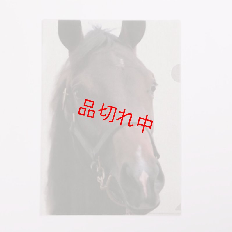 画像1: リアルクリアファイル B (1)