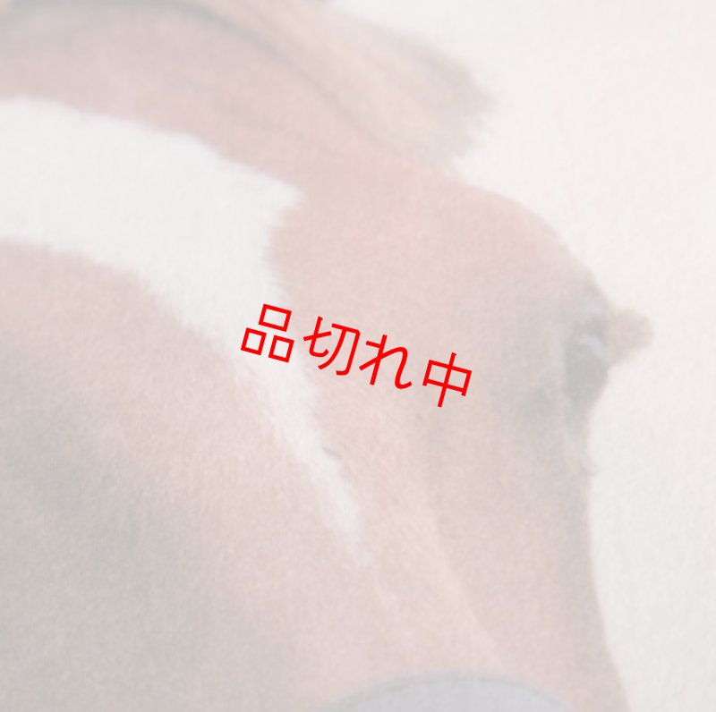 画像3: リアルクリアファイル C (3)