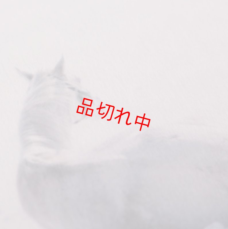 画像3: リアルクリアファイル A (3)