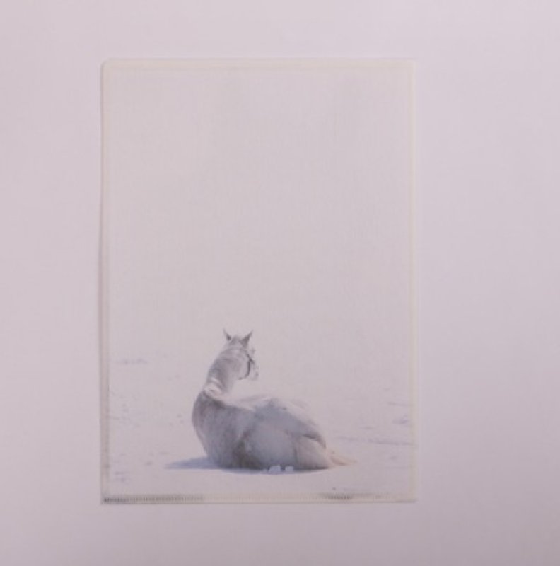 画像2: リアルクリアファイル A (2)