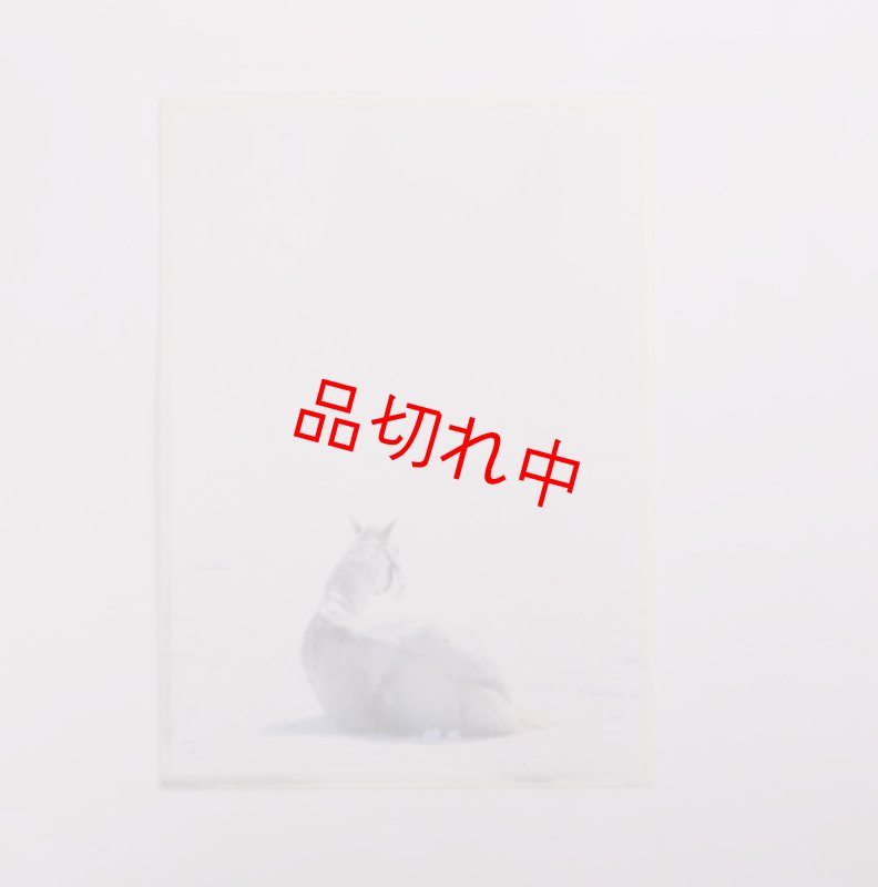 画像2: リアルクリアファイル A (2)