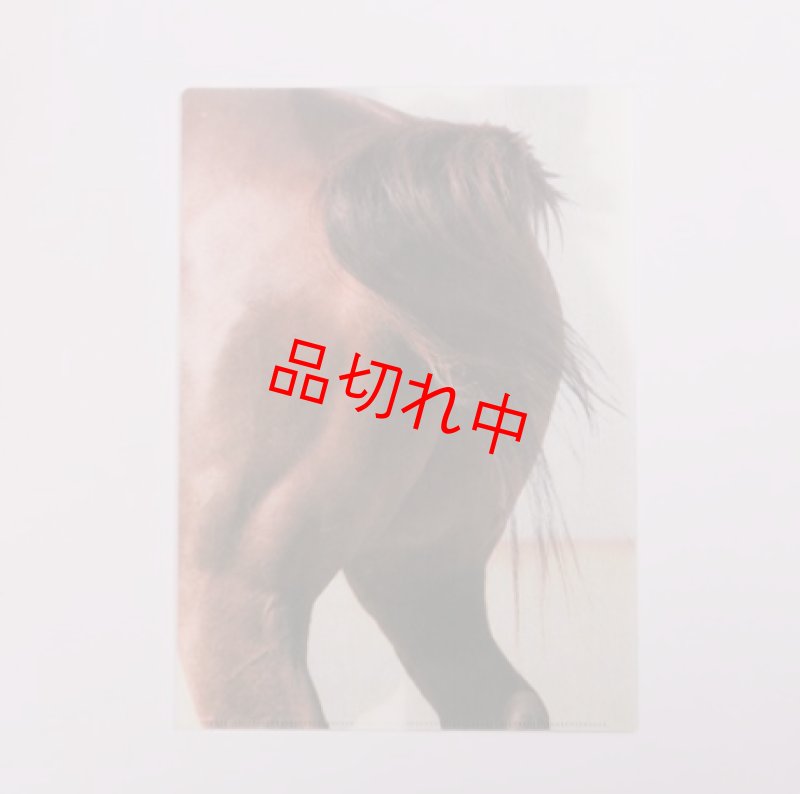 画像2: リアルクリアファイル C (2)