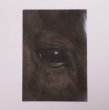 画像2: リアルクリアファイル B (2)