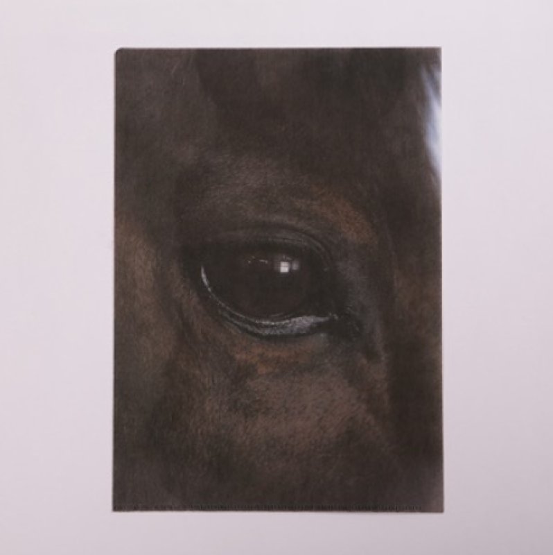 画像2: リアルクリアファイル B (2)