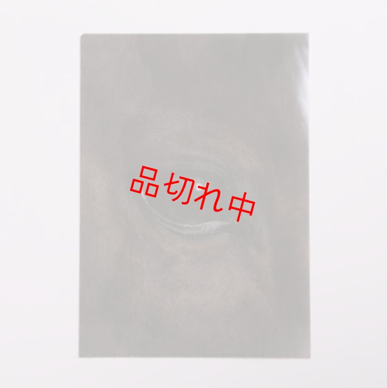 画像2: リアルクリアファイル B (2)