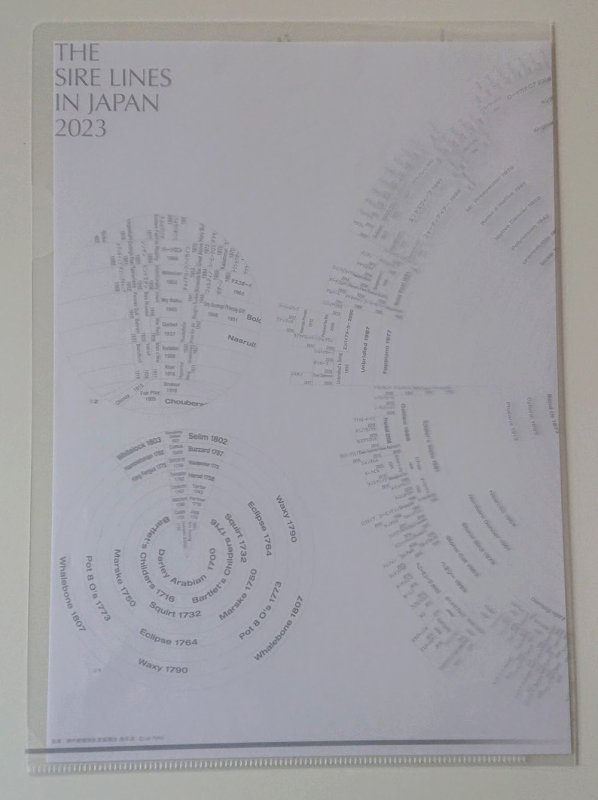 画像11: 2023年度版サイアーラインクリアファイル(2枚組) (11)