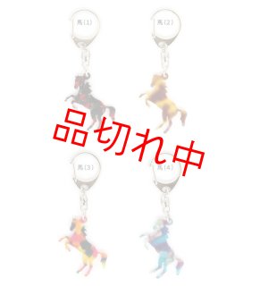 その他 - Champions TCK