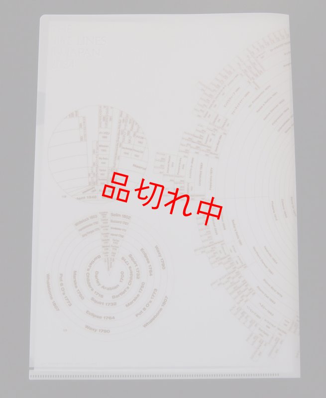 画像3: 2024年度版サイアーラインクリアファイル(2枚組) (3)