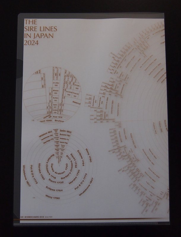 画像5: 2024年度版サイアーラインクリアファイル(2枚組) (5)