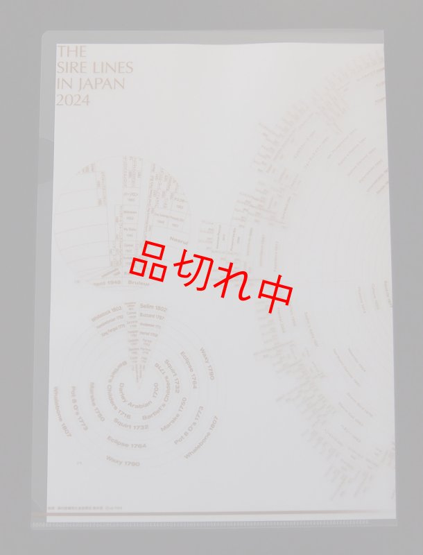 画像5: 2024年度版サイアーラインクリアファイル(2枚組) (5)