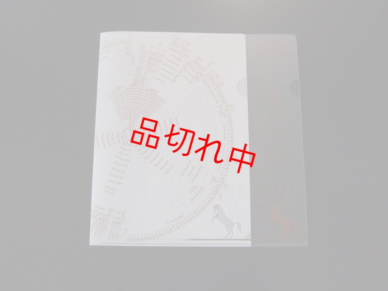 画像2: 2024年度版サイアーラインクリアファイル(2枚組) (2)