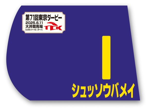画像1: 東京ダービー 出走馬ミニゼッケン (1)