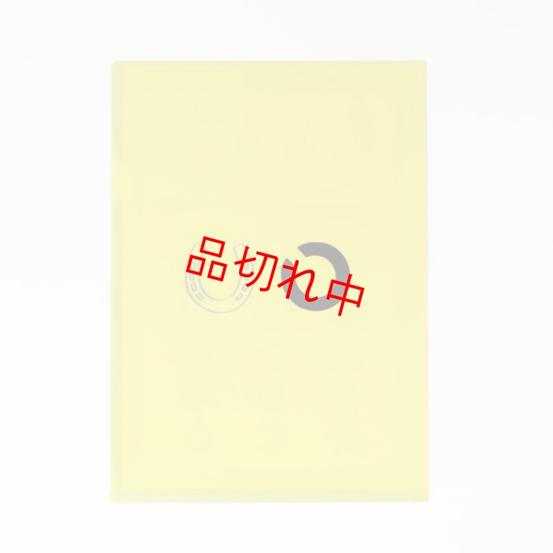 画像2: 視力検査A4クリアファイル (2)