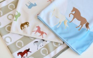 大井競馬場にあるグッズショップ Champions TCK