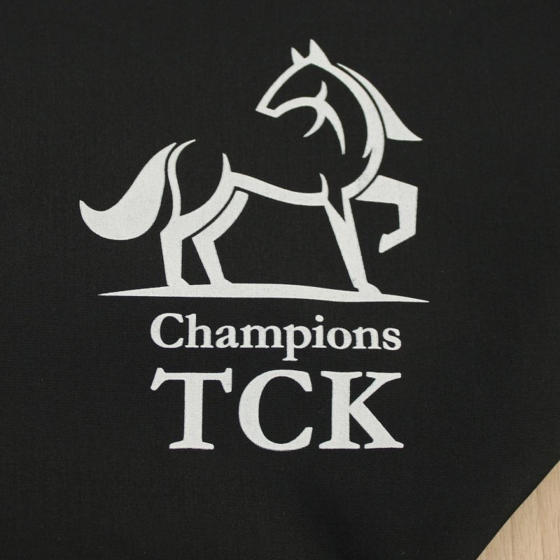 画像3: Champions保冷温ポケット付きショルダー (3)