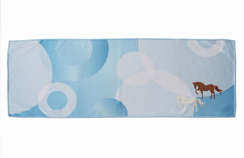 画像4: オリジナルクールタオル (4)