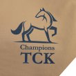 画像5: Champions保冷温ポケット付きショルダー (5)