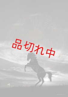 その他 - Champions TCK