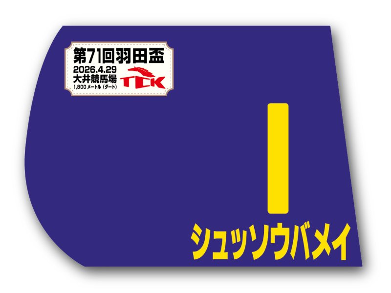 画像1: 羽田盃 出走馬ミニゼッケン (1)