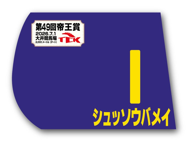 画像1: 帝王賞 出走馬ミニゼッケン (1)