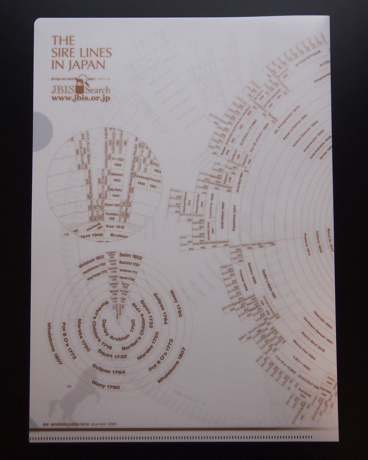 2026-2027サイアーラインクリアファイル