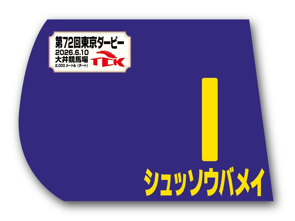 競馬　ミニゼッケン　2枚　セット 東京ダービー 出走馬ミニゼッケン その他